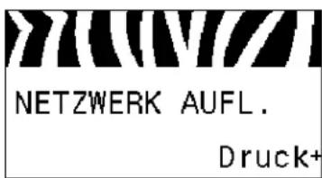 NETZWERK AUFL. Druck+