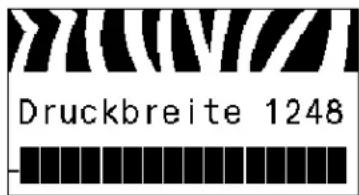 Druckbreite 1248
