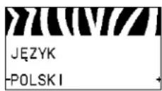 ZEBRA 105SLPlus - Auswählen der Anzeigesprache - 16