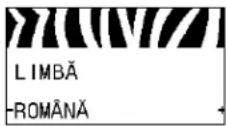 ZEBRA 105SLPlus - Auswählen der Anzeigesprache - 21