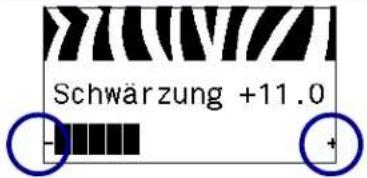 ZEBRA 105SLPlus - Navigieren in der Anzeige - 5