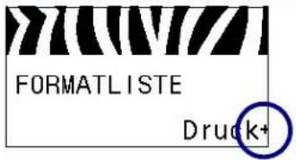 ZEBRA 105SLPlus - Navigieren in der Anzeige - 3