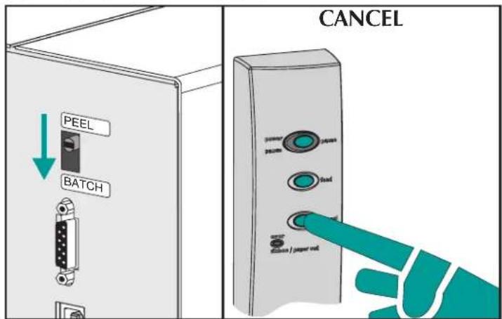 PEEL BATCH CANCEL