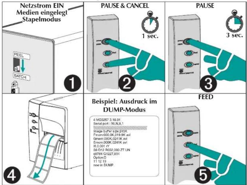 Netzstrom EIN Medien eingelegt Stapelmodus PAUSE & CANCEL 1 sec. PAUSE 3 sec. 1 2 3 4 Beispiel: Ausdruck im DUMP-Modus 4 MO3257 3.16.01 Serial port : 96,N,8,1 Image buffer size:21K From:000.0K,019.9K avl Gmem:000K,0241K avl Emom:000K,0241K avl I8.0,001 rY S8 D12 R032,000 ZT UN q0784 Q1227,034 Option:D 11 12 13 now in DUMP FEED 5