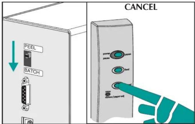 PEEL BATCH CANCEL