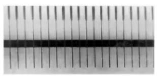 ZEBRA 2746e - Verlängerung der Nutzungsdauer des Druckkopfs - 1