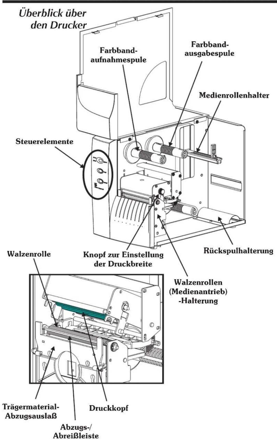 Überblick über den Drucker Farbband- aufnahmespule Farbband- ausgabespule Medienrollenhalter Steuerelemente Knopf zur Einstellung der Druckbreite Rückspulhalterung Walzenrolle Walzenrollen (Medienantrieb) -Halterung Trägermaterial- Abzugsauslaß Druckkopf Abzugs-/Abreißleiste