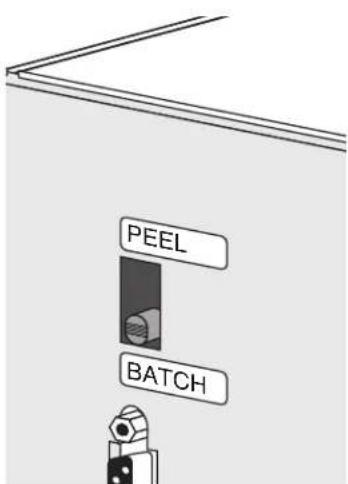 PEEL BATCH
