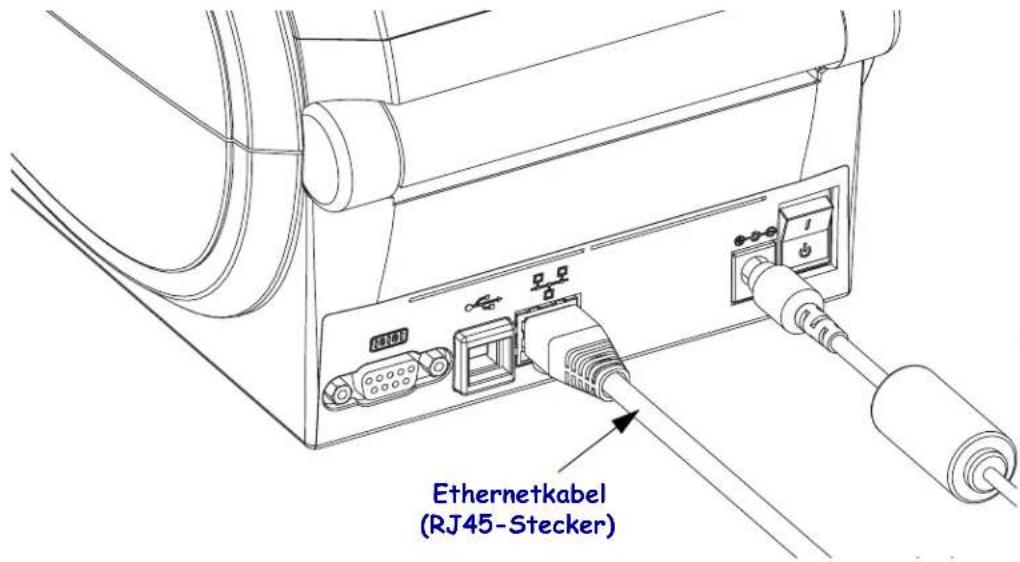 Ethernetkabel (RJ45-Stecker)