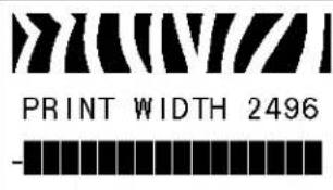 ZEBRA RXi4 - Standard-Bedienfeldparameter - 9