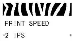 ZEBRA RXi4 - Standard-Bedienfeldparameter - 2