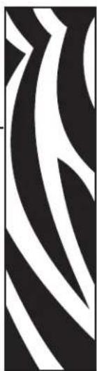 ZEBRA RXi4 - Druckerbetrieb - 1