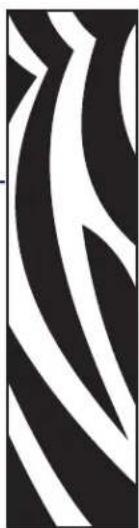 ZEBRA RXi4 - Konfiguration - 1