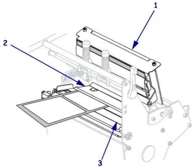 ZEBRA RXi4 - Einlegen von Medien im Abreißmodus - 5
