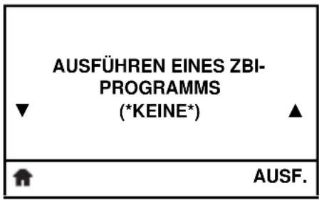 AUSFÜHREN EINES ZBI- PROGRAMMS (*KEINE*) ▲ AUSF.