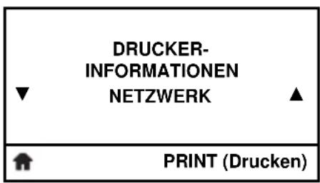 DRUCKER- INFORMATIONEN NETZWERK PRINT (Drucken)