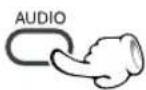KENWOOD DVT-6200 - VCD Select the Audio channel - 1