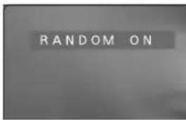 RANDOM ON