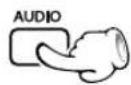 KENWOOD DVT-7300 - CD VCD Select the Audio channel - 1