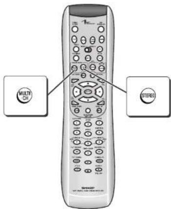 MULTI CH STEREO