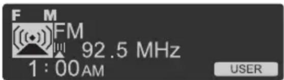 F M FM 92.5 MHz 1 : 00AM USER