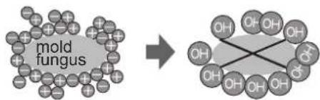 SHARP SJ-P692NBE - Notes about PLASMACLUSTER operation - 1