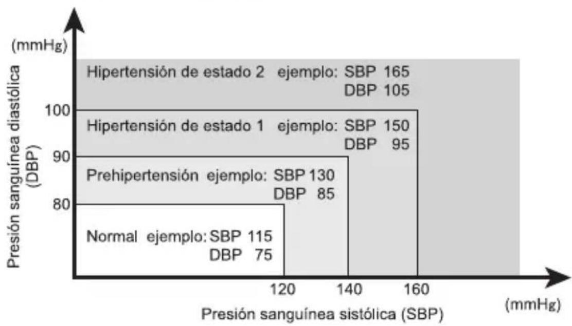 PANASONIC EW3152W - Corrobore sin dificultad las lecturas de la presión sanguínea según la clasificación JNC 7\* - 1