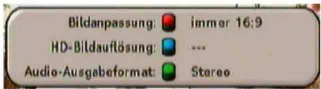 Bildanpassung: immer 16:9 HD-Bildauflösung: --- Audio-Ausgabeformat: Stereo