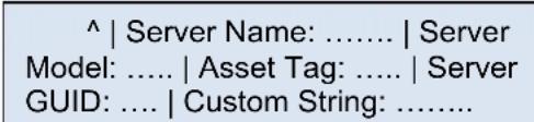 ^ | Server Name: .... | Server Model: .... | Asset Tag: .... | Server GUID: .... | Custom String: ....
