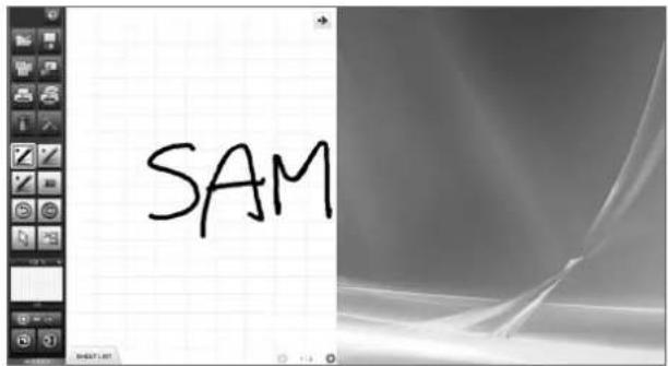 SAM