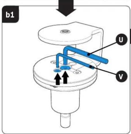 b1 U V