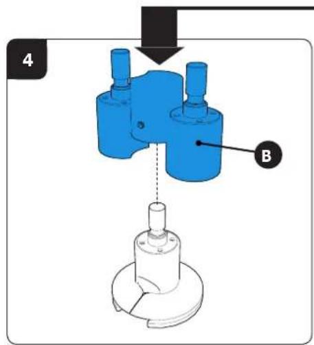 4 B