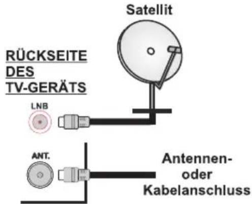 RÜCKSEITE DES TV-GERÄTS LNB Ant. Satellit Antennen- oder Kabelanschluss