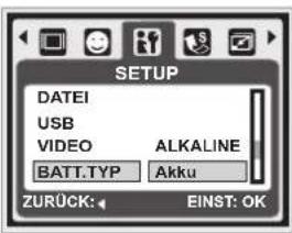 AGFAPHOTO 20174 - Batterie Typ (Standard: ALKALINE) - 1