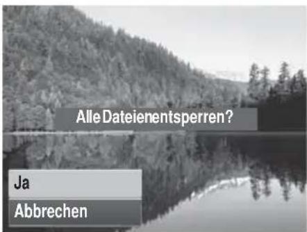AGFAPHOTO 20193 - So entsperren Sie alle Dateien: - 3