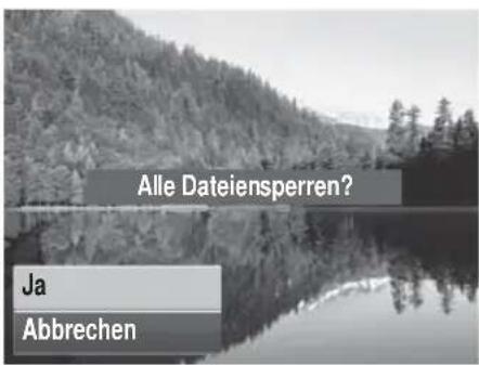 AGFAPHOTO 20194 - So entsperren Sie alle Dateien: - 2