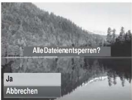 AGFAPHOTO 20185 - So entsperren Sie alle Dateien: - 3