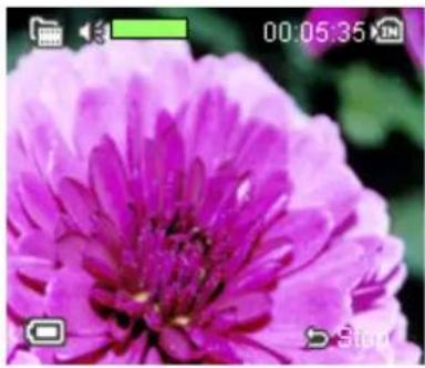 AGFAPHOTO AP DV-5000Z - Auslöser betätigen - 1