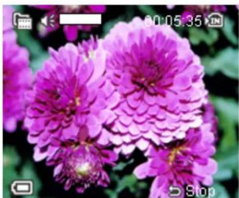 AGFAPHOTO AP DV-5000Z - Betriebsartanzeigen - 1