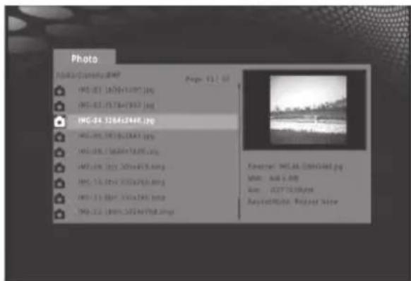 Photo File Edit View Help MP-01 (1676+1397).jpg MP-02 (1578+1363).jpg MP-04 (1264+3468).jpg MP-05 (1016+3341).jpg MP-06 (1016+3341).jpg MP-07 (1016+3341).jpg MP-08 (1016+3341).jpg MP-09 (1016+3341).jpg MP-10 (1016+3341).jpg MP-11 (1016+3341).jpg MP-12 (1016+3341).jpg Page 11.02 Preview: MP-04 (Downl…