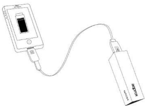 Approx appPB2200B - CABLE + TIP + DEVICE + POWER BANK - 1