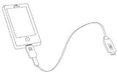 Approx appPB2200B - CABLE + TIP + DEVICE - 1