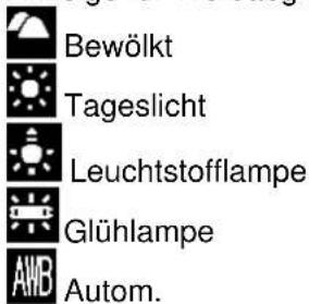 AGFAPHOTO Sensor 505-X - LCD-Monitor verwenden - 3