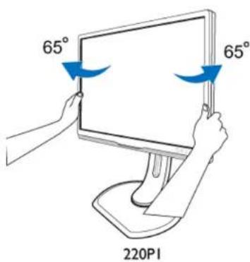65° 65° 220PI