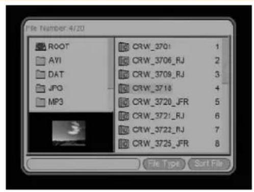 File Number: 4/20 ROOT AVI DAT JPG MP3 CRW_3701 1 CRW_3706_RJ 2 CRW_3709_RJ 3 CRW_3718 4 CRW_3720_JFR 5 CRW_3721_RJ 6 CRW_3722_RJ 7 CRW_3725_JFR 8 File Type Sort File