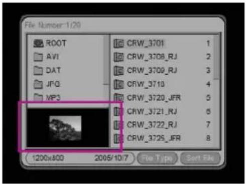 CMX DVD 935 - JPEG Bildvorschau - 1