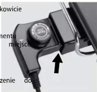 kowicie mentu miejsce zenie do
