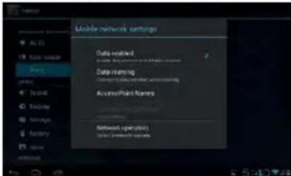 Mobile network settings Data-enabled Data mining Access/Plant Names Network operations Select Internet access