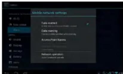 Mobile network settings Data enabled Data rendering Access Point features Network operation Access Point features