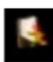 EverFocus ECOR264-9X1R - LOGOUT - 1